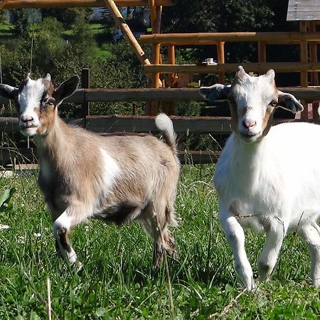 Farma Ruzovaヴィラ エクステリア 写真